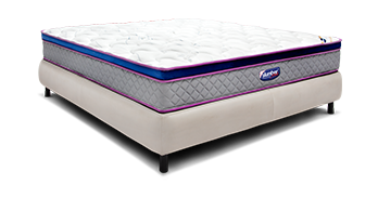 Luxotica Plush 9"